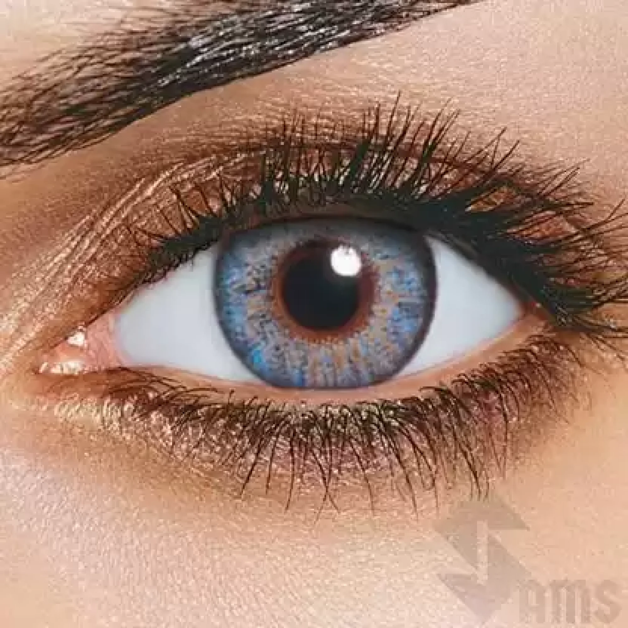 Freshlook Contact Lenses blue.webp